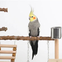 Pepper Wood Parrot Climbing Platform
