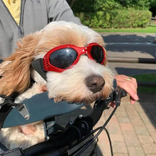 Fashionable Sunglasses for Pets