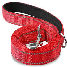 Reflective Pet Harness and Leash Set