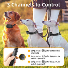 Dog Collar with Remote Control