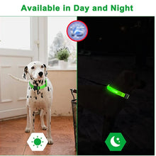 USB Rechargeable Luminous Collar