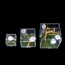 Small Reptile Feeding Box