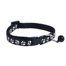 Comfy Collars for Pets