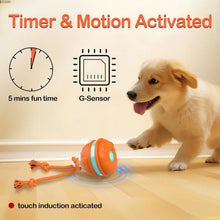 Interactive And Motion Activated Dog Ball