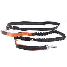 Adjustable Hand Free Dog Leash