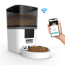 4L WiFi Automatic Feeder With Video Camera