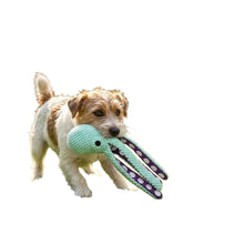 Squeaky Octopus Dog Toy