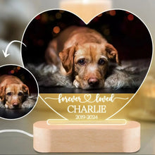 Custom Pet Memorial Night Light Photo