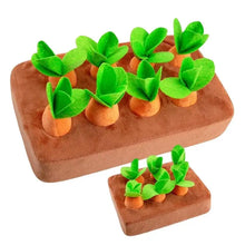 Carrot Inspired Pet Toys