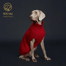 Cosy Knit Dog Sweater for Winter