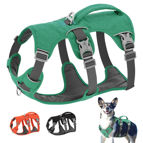 Escape Proof Nylon Dog Harness