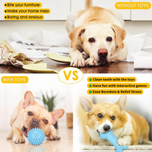 5-Piece Set Teething Plush Pet Toys