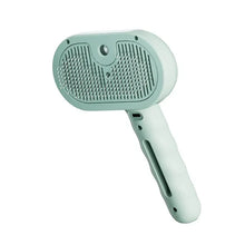 Pet Steam Brush