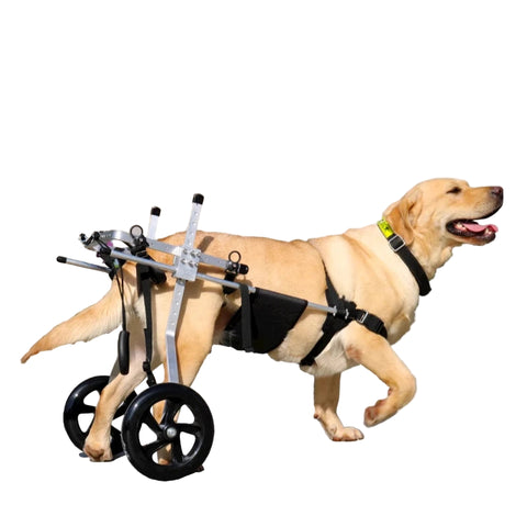 Large Dog Wheelchair For Hind Limb