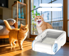 Automatic Anti Splash Cat Litter Box