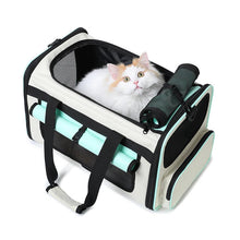 Collapsible Pet Travel Carrier Case Bag