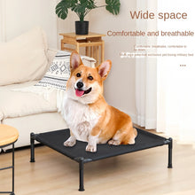 Elevated Folding Pet Bed