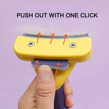 Pet Grooming Brush & Hair Remover for Dogs & Cats