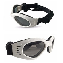 Pets Wear Sunglasses