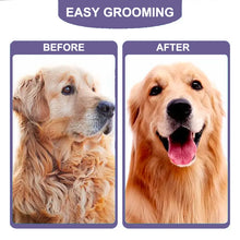 Pet Grooming Brush & Hair Remover for Dogs & Cats