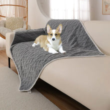 Thick Pet Plush Blanket for Winter