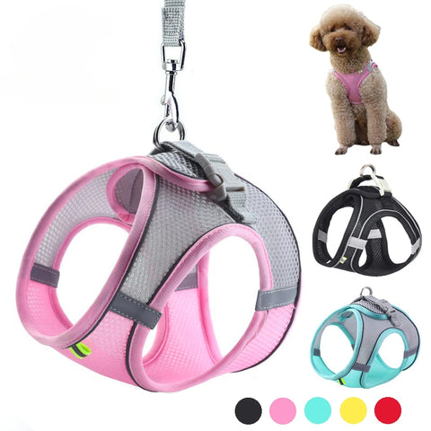 Adjustable Pet Harness and Lead Set