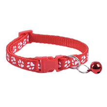 Comfy Collars for Pets