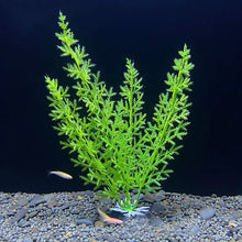 Aquarium Artificial Plant