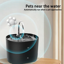 Loop Filter Dog Water Dispenser & Automatic Fountain