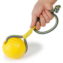 Rubber Dog Ball Training Toy