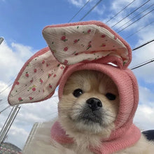 Rabbit Ears Dog Hat