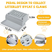 Double Layered Cat Litter Box with Ramp