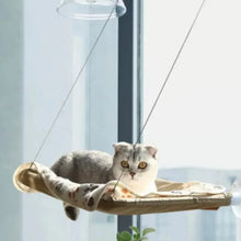 Colourful Aerial House for Kittens