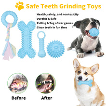 5-Piece Set Teething Plush Pet Toys