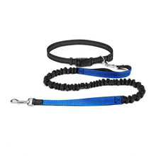 Hands Free Bungee Dog Leash