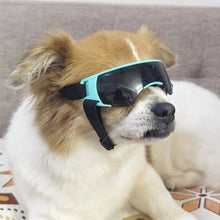 Dog Sunglasses Small Breed