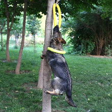 Colourful Ring Puller for Pets