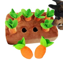 Carrot Inspired Pet Toys