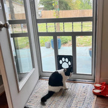 Lockable Magnetic Screen Pet Door