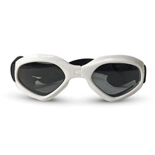 Pets Wear Sunglasses
