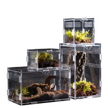 Reptile Habitat Terrarium Breeding Box