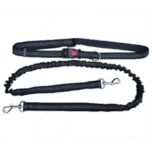 Adjustable Hand Free Dog Leash