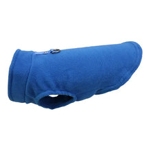 Winter Pet Jacket with D-Ring