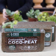 Coco Peat Organic Coconut Fiber Substrate