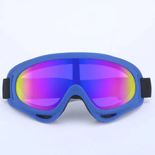 Wind And Snow Pet Googles