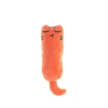 Catnip Cat Toy with Rustle Sound Plush Pillow