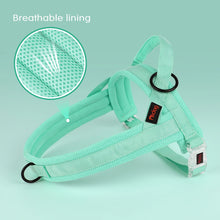 Adjustable Padded Pet Vest