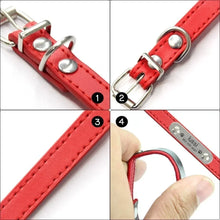 Personalized Dog Collar