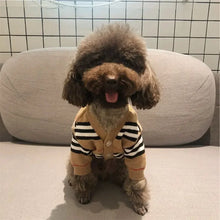Brown Striped Knit Cardigan for Pets