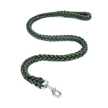 1.2M Nylon Dog Leash for Medium Large Dogs Training Walking Safety